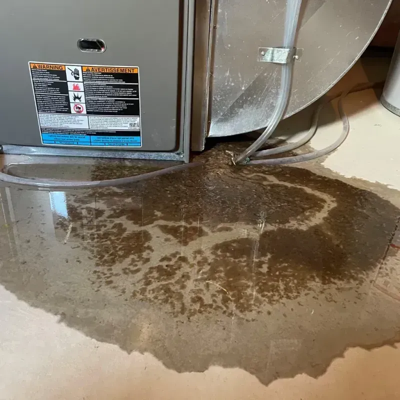 Appliance Leak Cleanup in Fannin County, TX